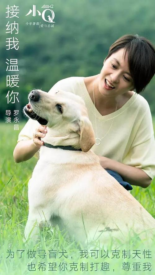 圣塔克拉拉大学硕士毕业证